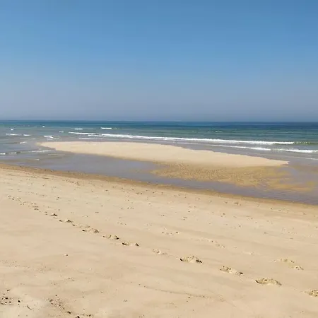 Maison Chaleureuse - Cote Landaise Сasa de vacaciones Lesperon (Landes)