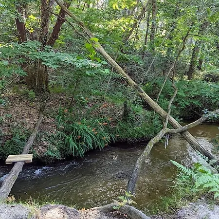 Maison Chaleureuse - Cote Landaise