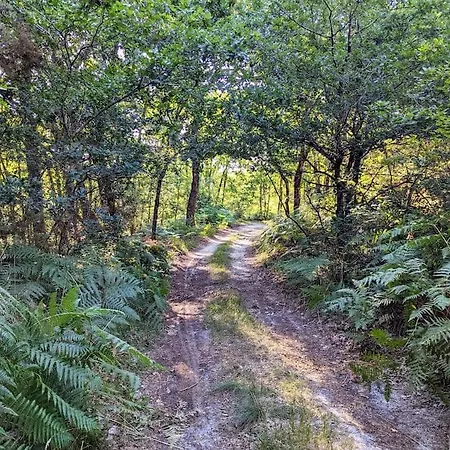 Сasa de vacaciones Maison Chaleureuse - Cote Landaise Lesperon (Landes)
