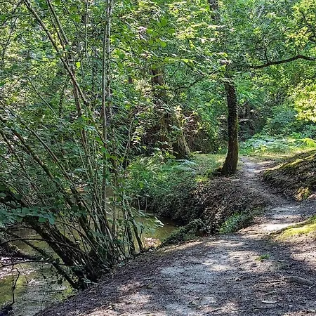 Maison Chaleureuse - Cote Landaise * Lesperon (Landes)