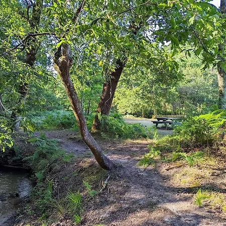 Сasa de vacaciones Maison Chaleureuse - Cote Landaise