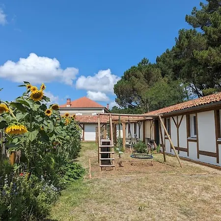 Сasa de vacaciones Maison Chaleureuse - Cote Landaise