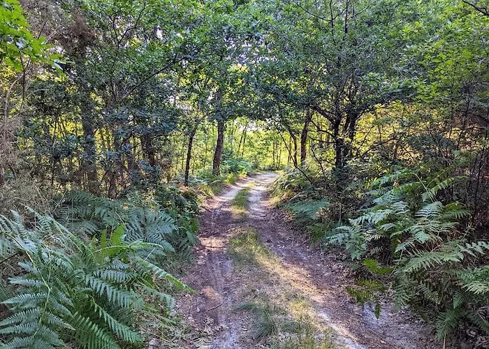 Σπίτι διακοπών Maison Chaleureuse - Cote Landaise Lesperon (Landes)