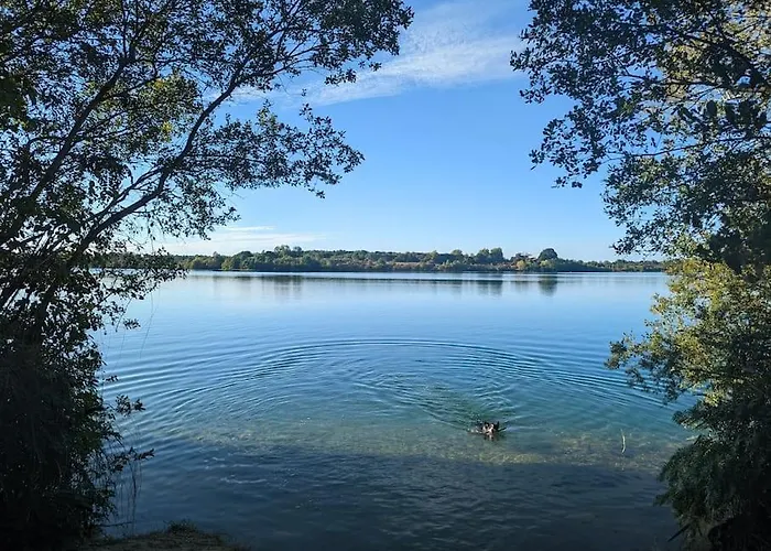 Σπίτι διακοπών Maison Chaleureuse - Cote Landaise Lesperon (Landes)