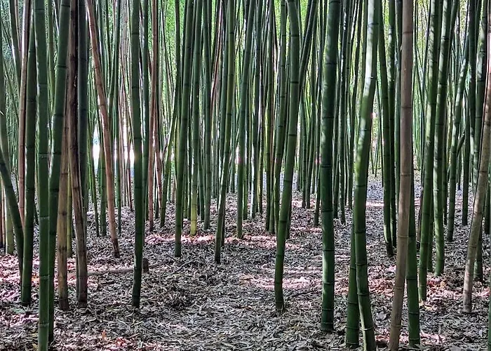 Maison Chaleureuse - Cote Landaise Lesperon (Landes)