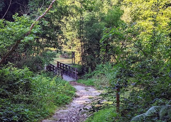 Σπίτι διακοπών Maison Chaleureuse - Cote Landaise Lesperon (Landes)