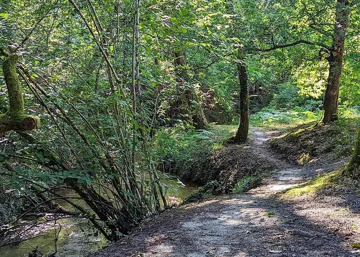 Maison Chaleureuse - Cote Landaise * Lesperon (Landes)