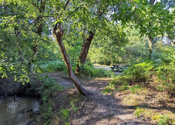 Σπίτι διακοπών Maison Chaleureuse - Cote Landaise